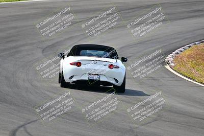 media/Apr-07-2024-VIP Trackdays (Sun) [[358c235f4a]]/Advanced Group/Session 1 (Turns 4b and 5)/